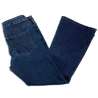 Pre-owned Vintage Gap Long & Lean jeans, size 28 petite, in medium blue wash, available at Capra & Quail.